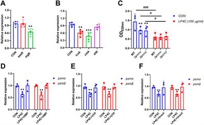 Pyrancoumarin derivative LP4C targeting of pyrimidine de novo synthesis pathway inhibits MRSA biofilm and virulence